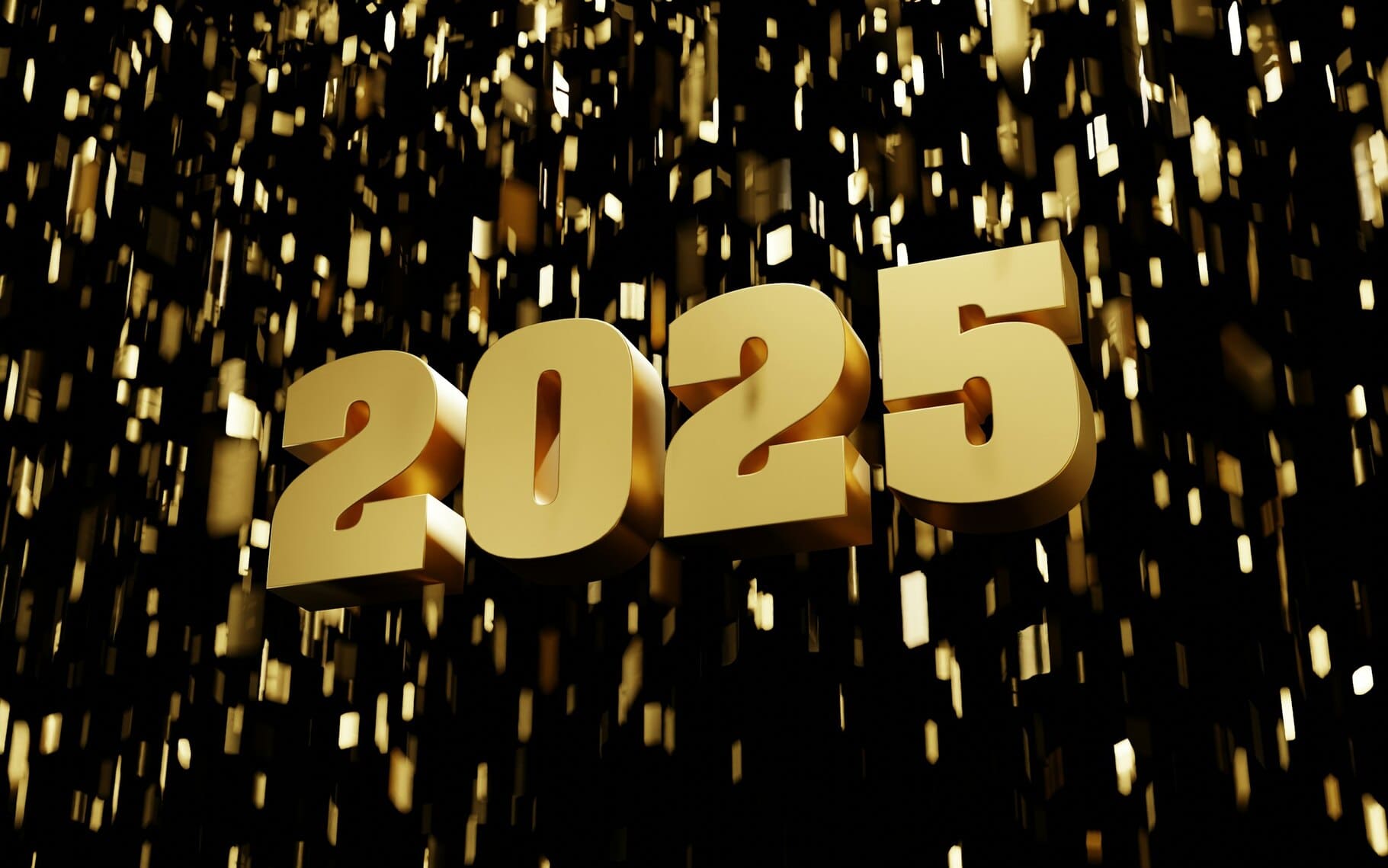 Vœux pour 2025